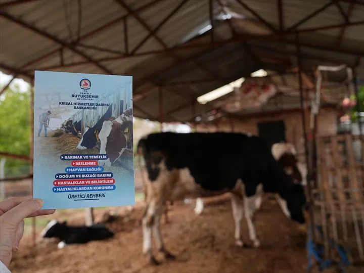 Denizli Büyükşehir’in Veteriner Danışmanlığı Üreticilerden Tam Not Aldı