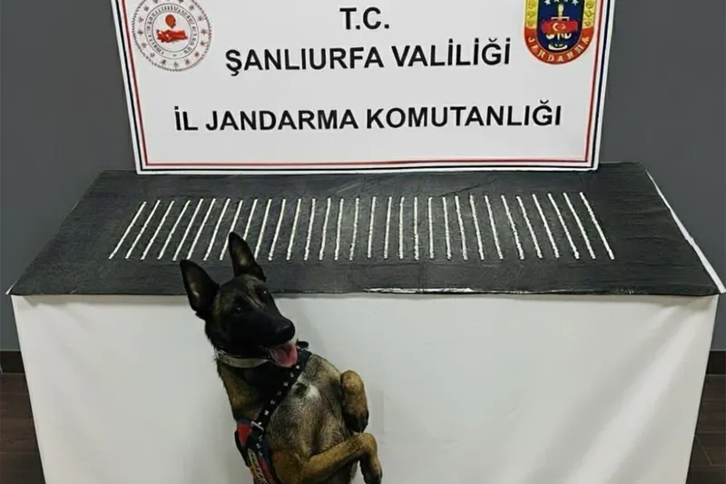 Şanlıurfa’da uyuşturucu operasyonu: 3 gözaltı