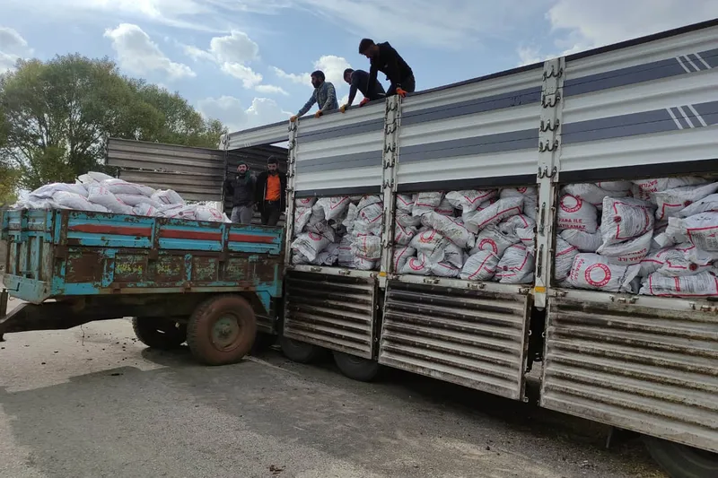 Karlıova ilçesinde kömür dağıtımı başladı