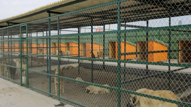 En modern hayvan barınağı Isparta’da