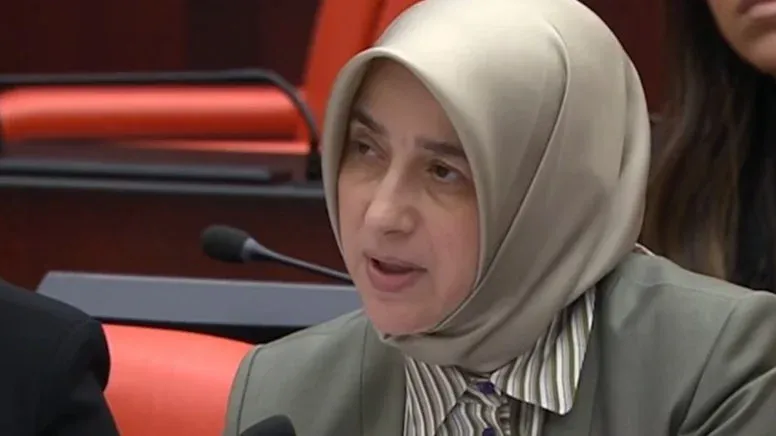 AKP’li Özlem Zengin, “Uçak gönderildi” sözleri tepkiler sonrası düzeltildi