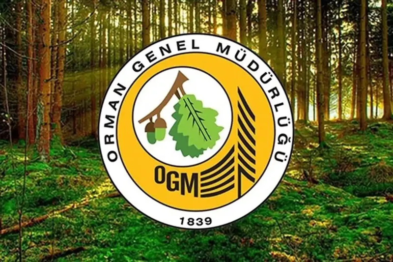 Orman Genel Müdürlüğüne 496 sözleşmeli personel alınacak