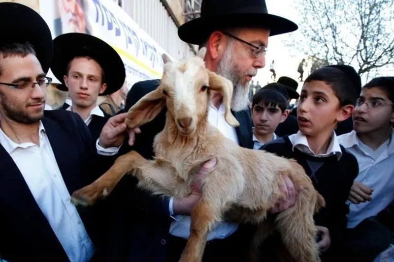 Siyonist Yahudilerden yeni provokasyon: Mescid-i Aksa