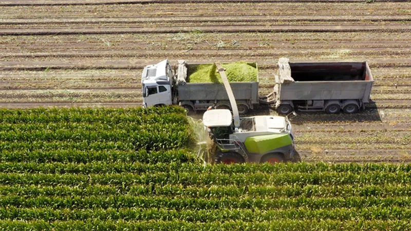 306 milyon liralık tarımsal destekleme ödemesi gerçekleşt