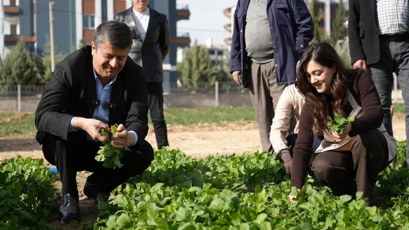 Adıyaman Belediyesi’nin üretim tarlasından ilk hasat vatandaşa ücretsiz ulaştı  - Videolu Haber