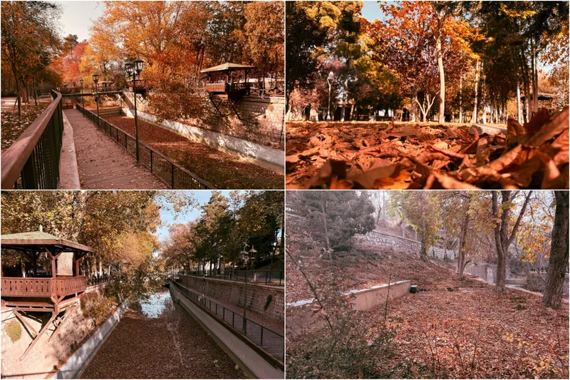 Sonbaharın gelişiyle Konya’da doğal güzellikler ortaya çıktı