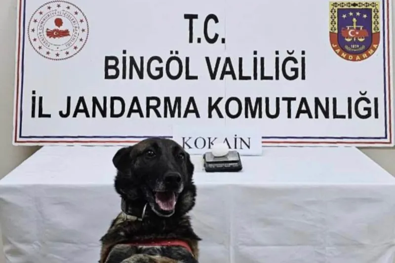 Bingöl’de yapılan asayiş uygulamalarında 18 şüpheli yakalandı