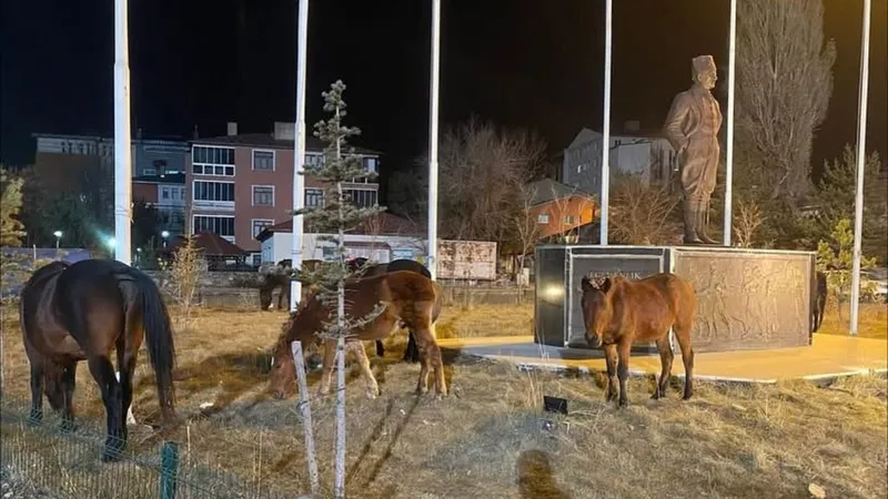 Ardahan’da yılkı atları şehre indi