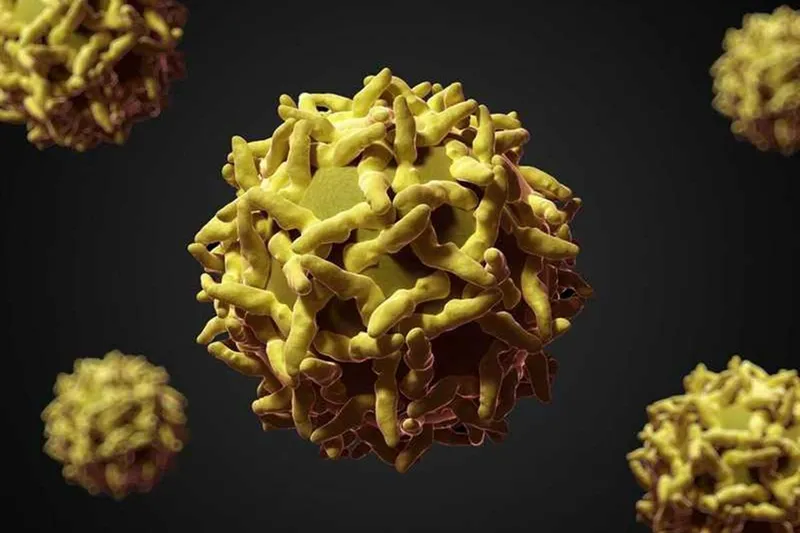 Yılbaşından bu yana Afrika