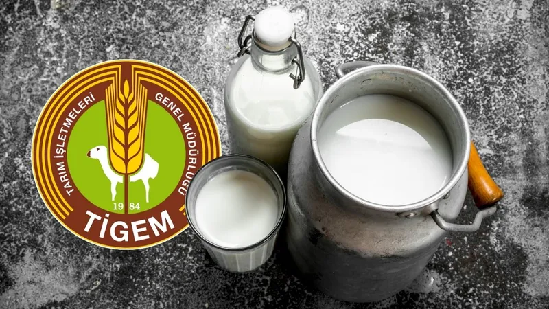 TİGEM 2026 yılı için 74 bin 665 ton sütü ihaleyle satacak
