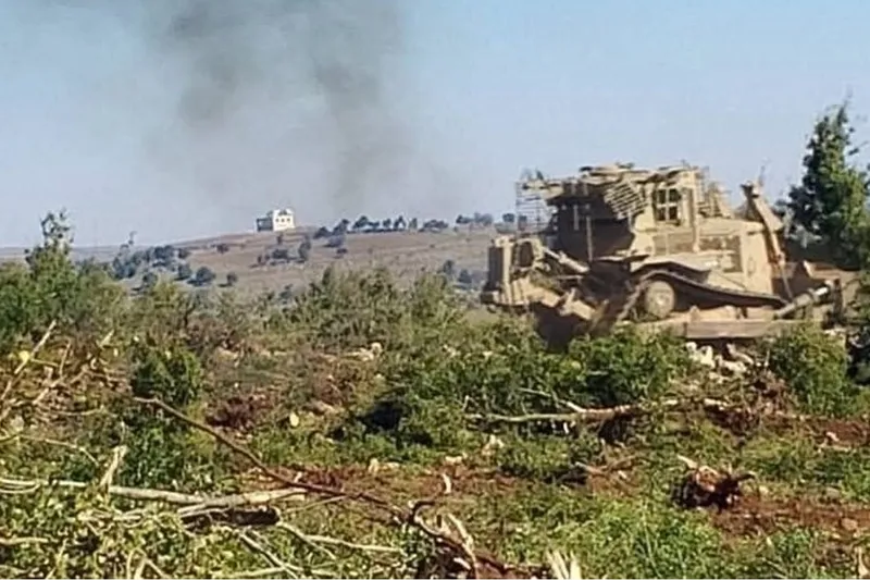 İşgal kuvvetleri, Suriye