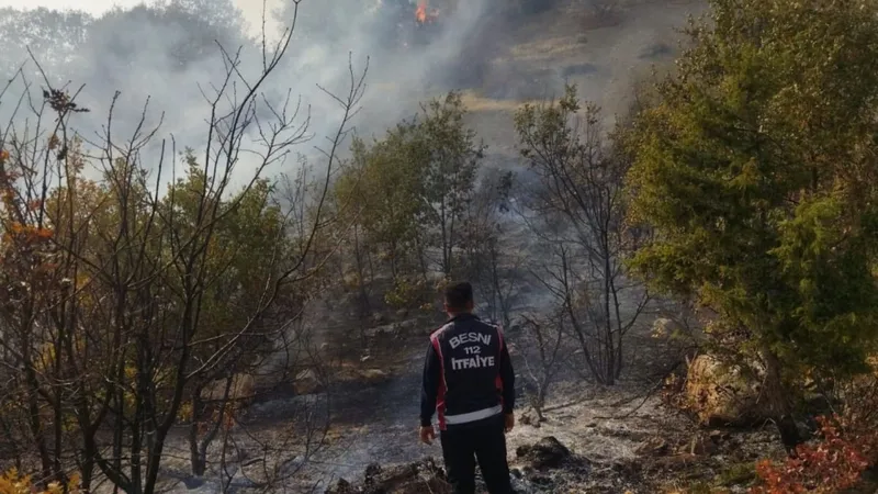 Besni Akpınar Köyü’nde çıkan orman yangını kontrol altına alındı  - Videolu Haber