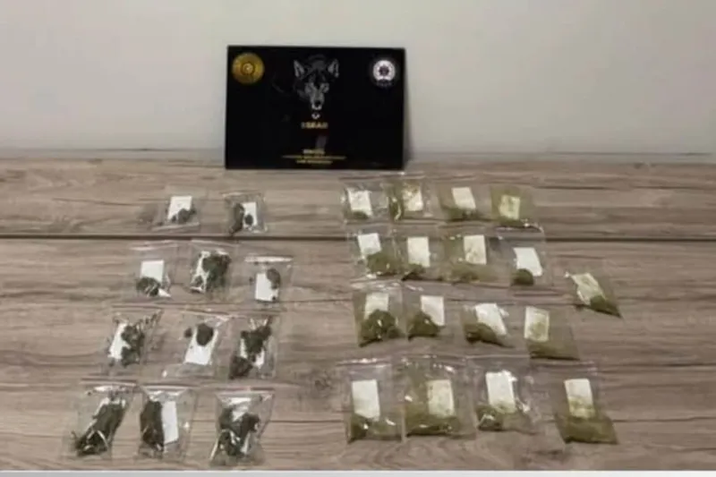 Bingöl’de uyuşturucu operasyonu: 1 şüpheli tutuklandı