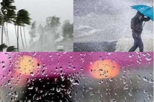 Trabzon, Rize ve Artvin’de kuvvetli yağış bekleniyor