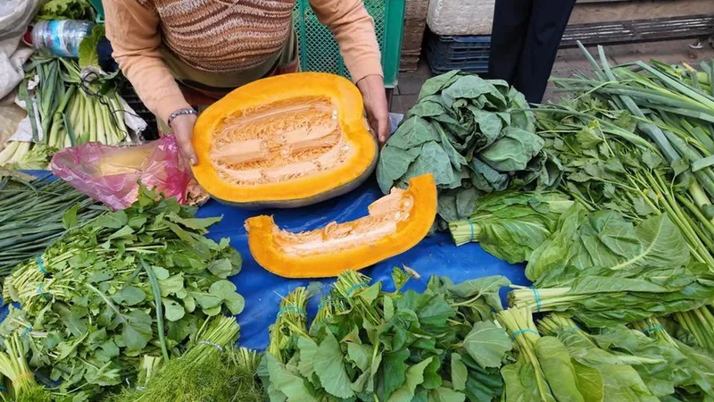Aydın’da bal kabağı sezonu açıldı