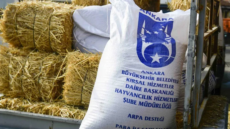 ABB’nin kırsal kalkınma destekleri sürüyor