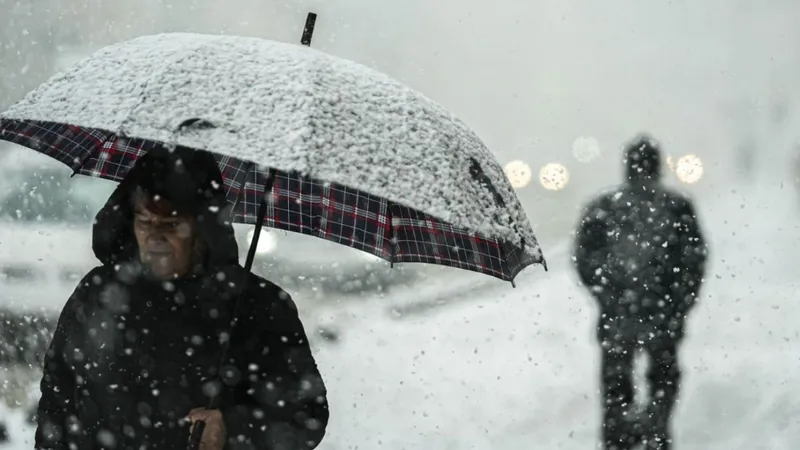 Turuncu kaplanlar yollar için gece gündüz çalışıyor