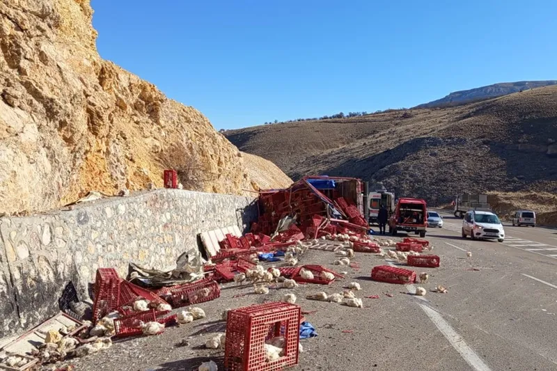 Tavuk yüklü kamyon devrildi: Yüzlerce hayvan telef oldu, sürücü yaralandı