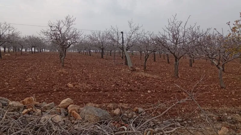 Şanlıurfa Örcünlü Mahallesi’nde elektrik kesintisi ve su sorunu  