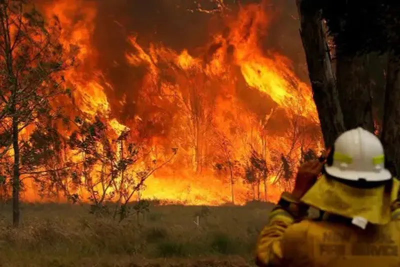 Avustralya orman yangınlarıyla mücadele ediyor