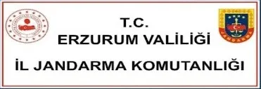 Erzurum İl Jandarma Komutanlığına bağlı birimlerce 2024 yılı içerisinde icra edilen faaliyetler 