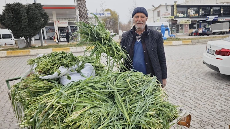 Kâhta’da bahar gelmeden 
