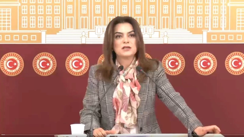 DEM Parti Grup Başkanvekili Koçyiğit: 