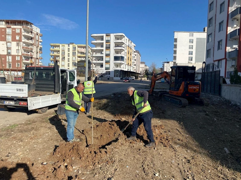 Kahta Belediyesi ağaçlandırma çalışmalarını hızlandırdı 