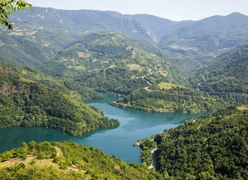 Kocaeli’de Doğa Yeniden Canlanıyor: Çevre Restorasyonunun Başarı Hikayesi