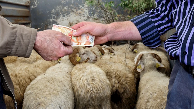 Veteriner Hekim Mustafa Yıldız’dan kurbanlık üreticilerine ve tüketicilere uyarılar 