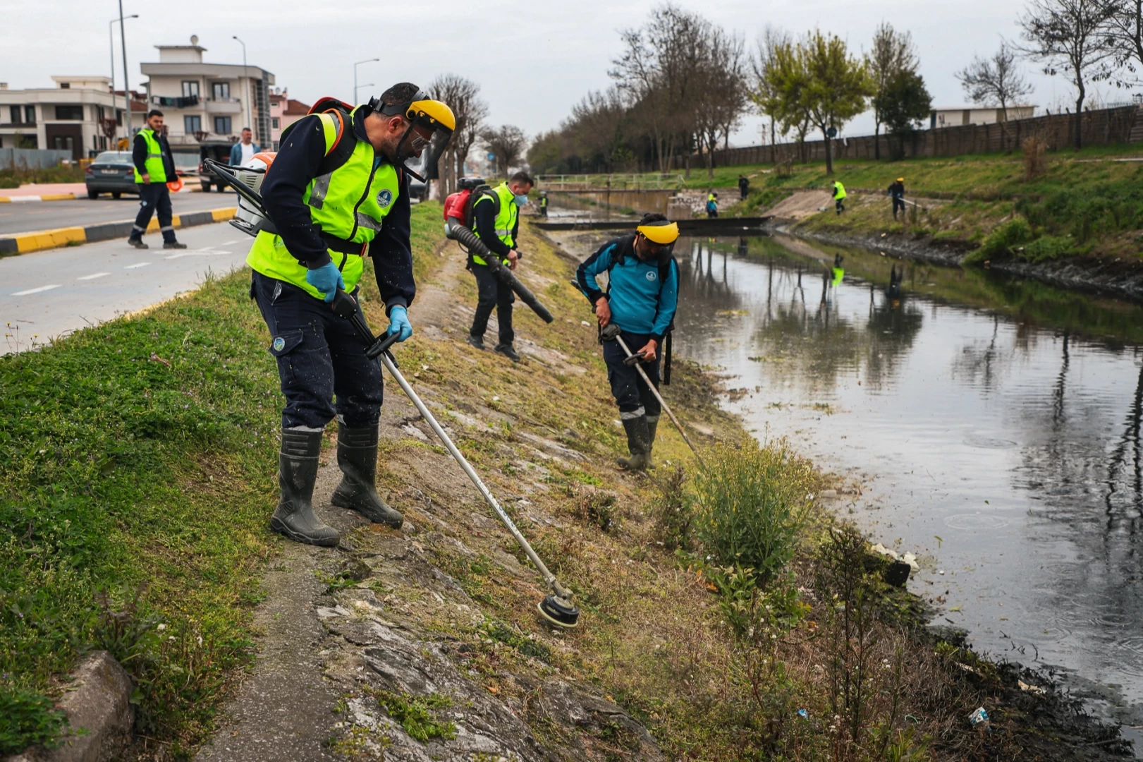 Sakarya Çark Deresi