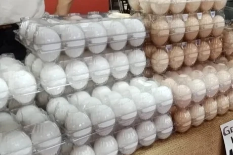 Sofralık yumurta ihracatında fon kesintisi yükseltildi