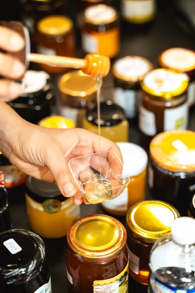 TÜRK BALLARI PARİS