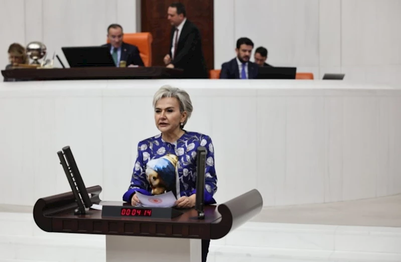 Fahri trafik müfettişlerinin kestiği cezalar TBMM gündeminde 