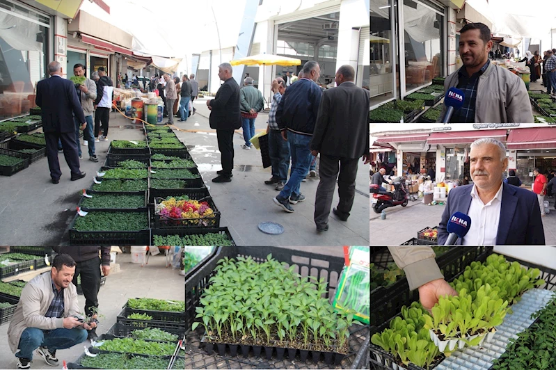 İlkbaharla birlikte fide talebi arttı: Fiyatlar cep yakıyor