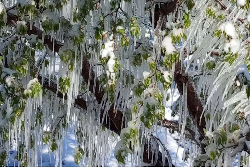 İç ve Doğu Anadolu