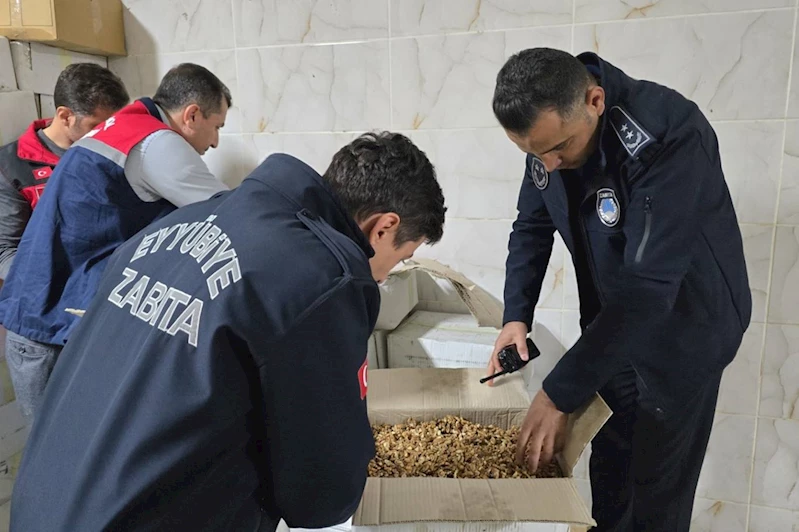 Baklava imalatçısında tonlarca bozulmuş ceviz ele geçirildi