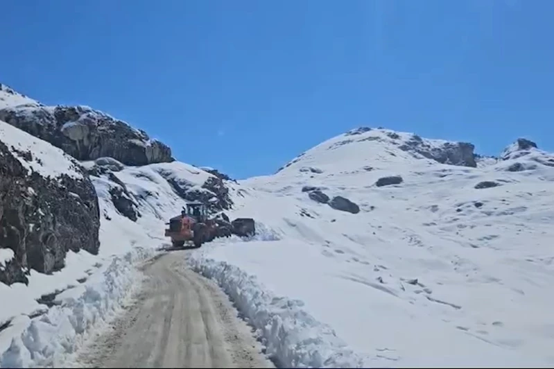 Şırnak’ta kar yağışı etkili oldu