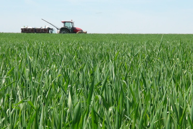 Sektör temsilcileri: Tarımda verimi artırmanın anahtarı, doğru gübre ve doğru zamanlama