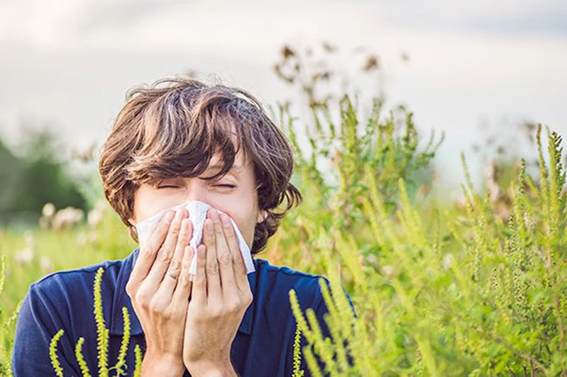 Baharda artışa geçen alerjik rinite dikkat!