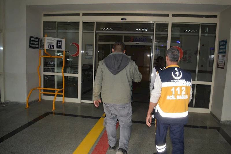 Siirt’te yılan ısırması sonucu 75 yaşındaki kadın hastaneye kaldırıldı