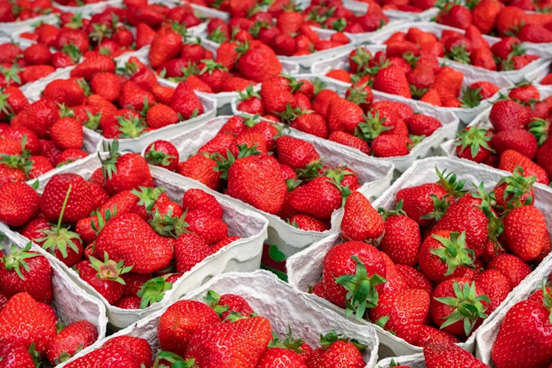 Çileğin faydaları saymakla bitmiyor!