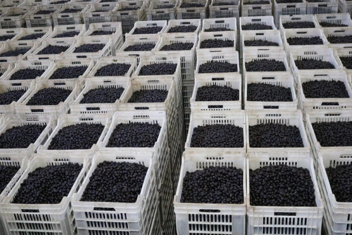 Marmarabirlik son dilim ödemeyi 25 Nisan