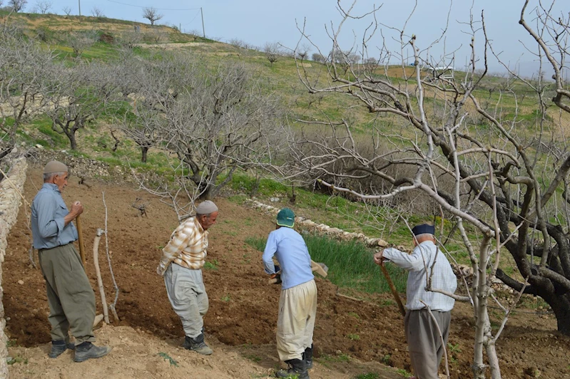 Ziraat Odası Başkanı Günbat: Nisan yağmurları bölgemiz için can suyu oldu