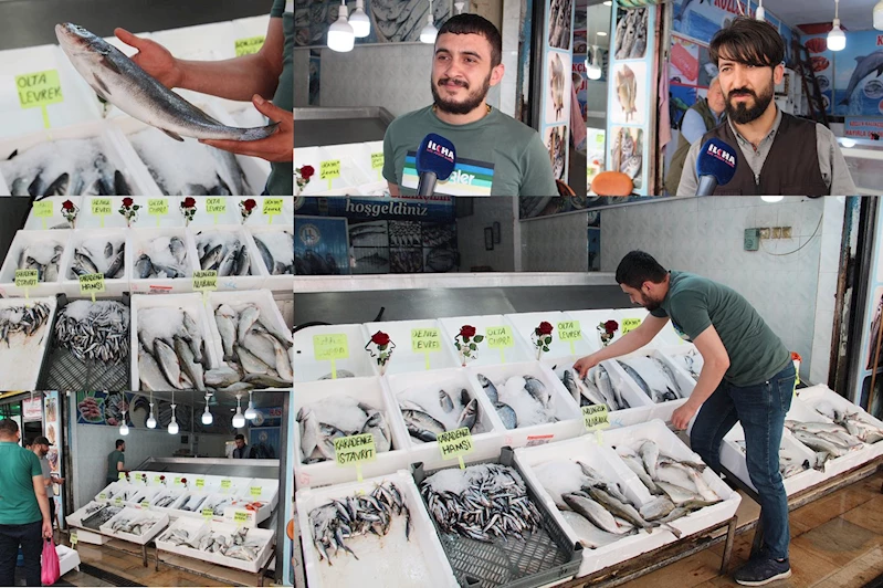 Balık tezgahları boşaldı, fiyatlar arttı!