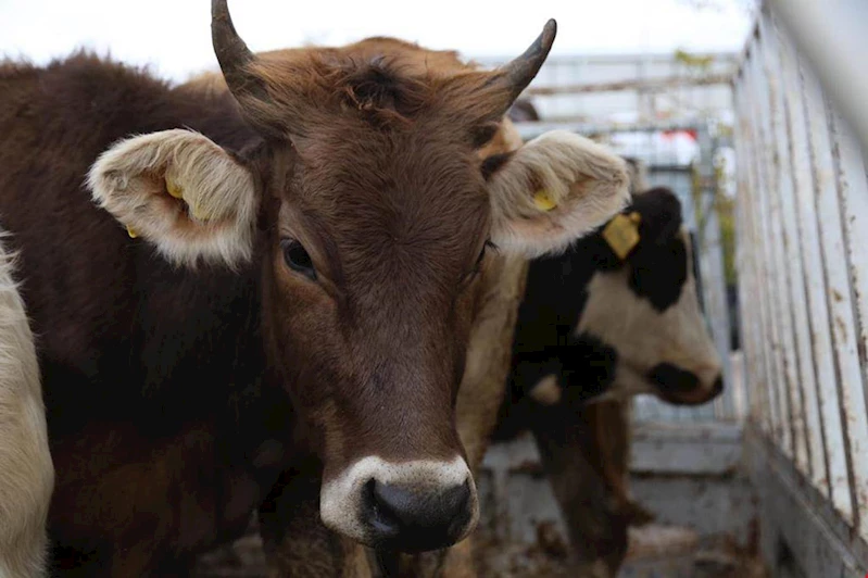 Tarım ve Orman Bakanlığı