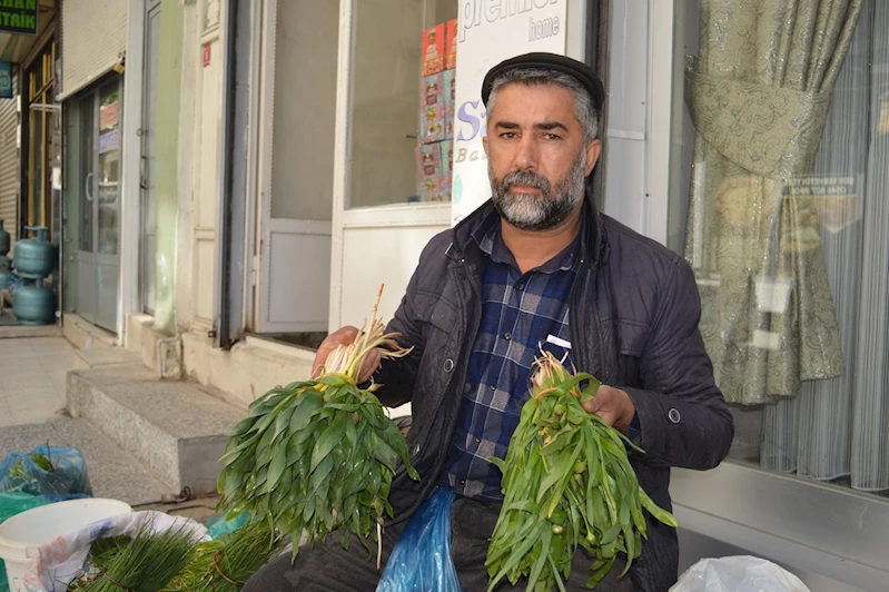 Hem şifa hem de lezzet kaynağı: Soryaz bitkisi