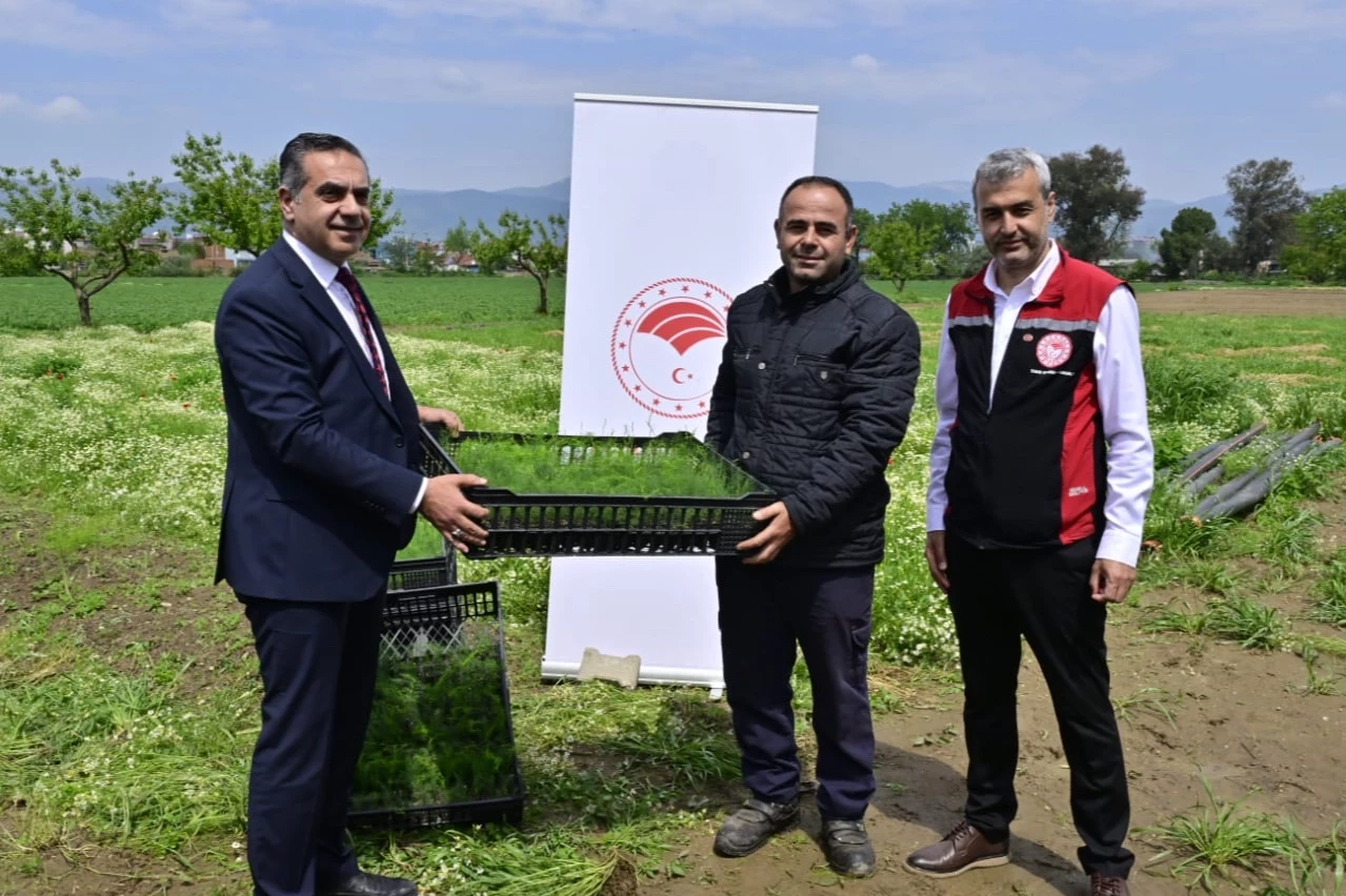 17 bin fide üreticilere teslim edildi