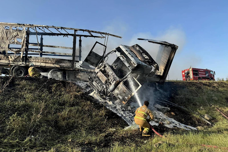 Cizre-Nusaybin kara yolunda tır yandı