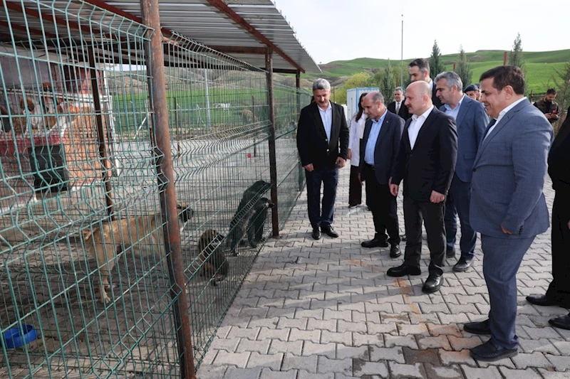 Hayvan barınakları incelendi 